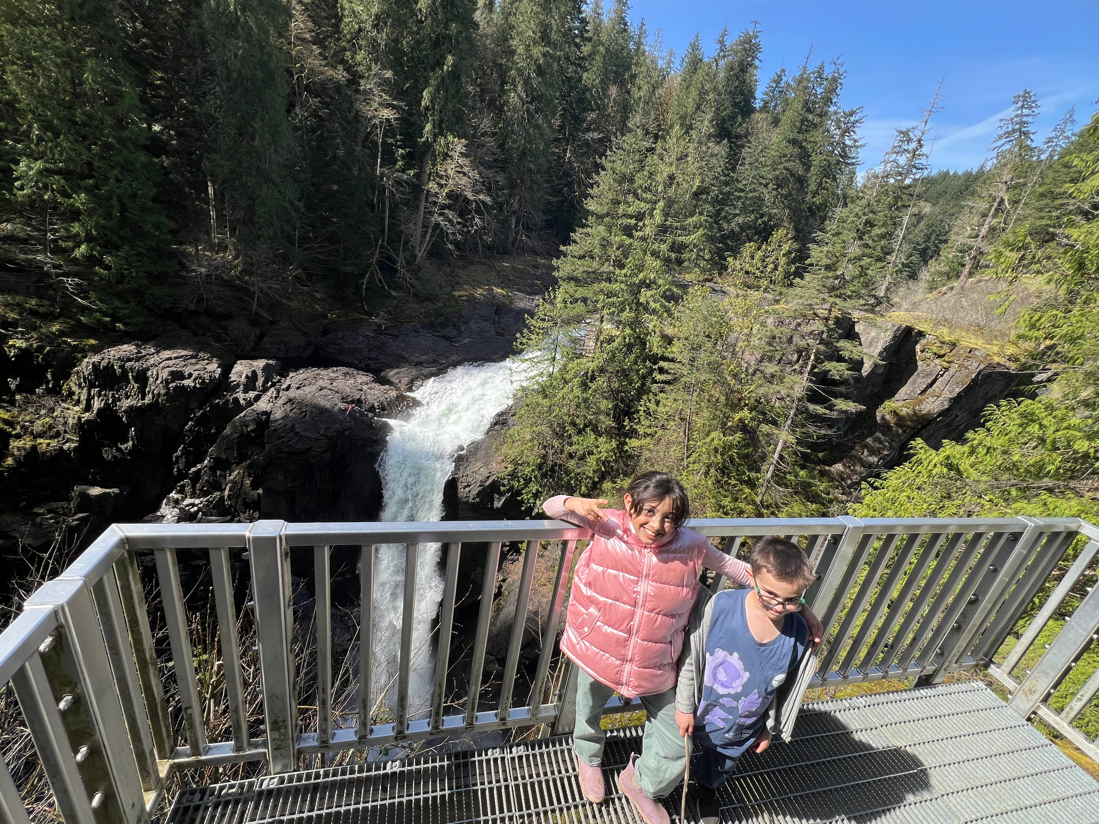 Elk Falls Adventure and the Suspension Bridge 🌊🌉